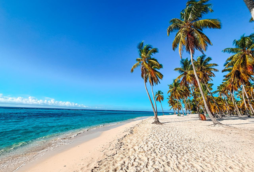 dominican republic excursions
