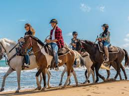 certified tour guides dominican republic
