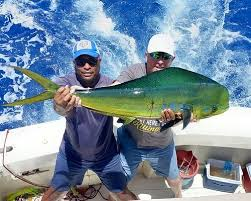tour packages with transport punta cana