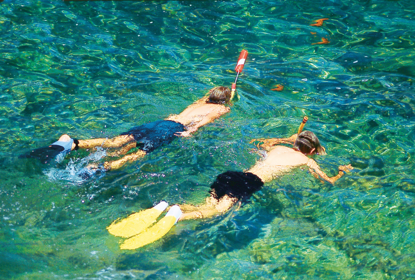 punta cana activity tours