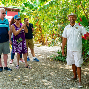 saona island group tour
