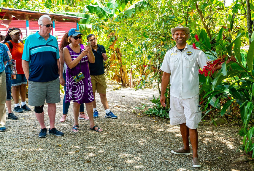 saona island group tour