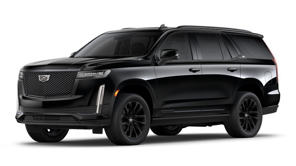 Punta Cana transportation service