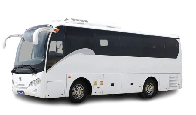 Group transportation Punta Cana